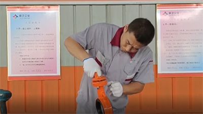 Wafer Butterfly Valve Handle Assembly