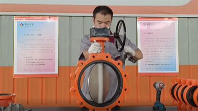 LT Butterfly Valve Worm Gear Assembly