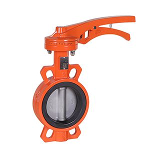 Rubber Wafer Butterfly Valve