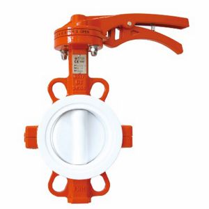 PTFE Wafer Butterfly Valve