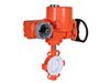 Resilient Seated Butterfly Valve
