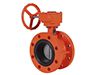 Flanged Butterfly Valve