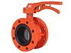 Flanged Butterfly Valve