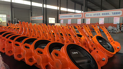 Butterfly Valves