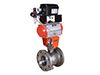 Control Ball Valve