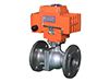 Control Ball Valve