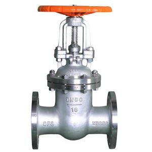 Rising Stem Gate Valve