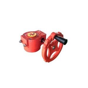 Worm Gear Actuator