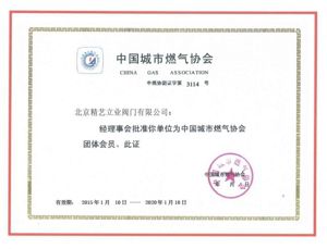 China City Gas Association Member