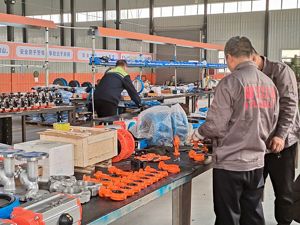Valve assembly area